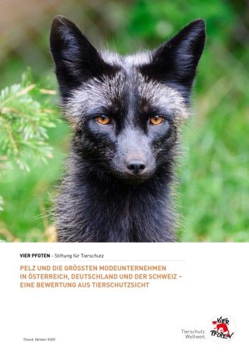 Vorschau Bild von Der VIER PFOTEN Pelz-Bericht