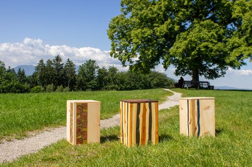  Die Urnenmodelle von Edelzweig. Die vom eigenen
Baum oder aus einer Lieblingsregion stammenden Äste werden entweder
quer oder längs aufgetrennt und so in die Urne mit eingebaut.