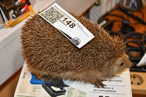 Vorschau Bild von Ausrüstung von Kurt Mündl wird versteigert