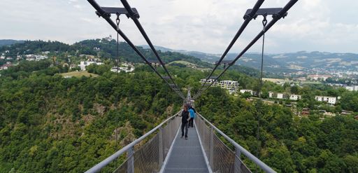 Panoramaansicht der geplanten Seilhängebrücke LINZ