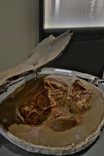  Replik der Säuglingsdoppelbestattung im Saal 14 des
NHM Wien