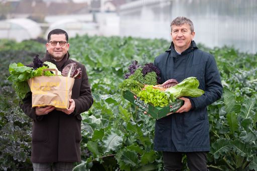 Vorschau Bild von Marcel Haraszti und Josef Peck bei der ersten
Winterfischgemüse Ernte