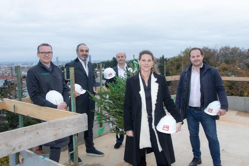 Vorschau Bild von Dachgleiche "Bellevue Sonnleiten"