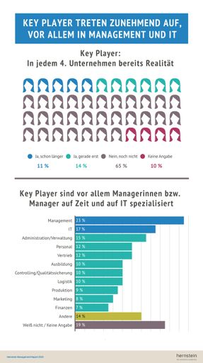 Infografik zu Key Playern in Unternehmen und
Bereichen