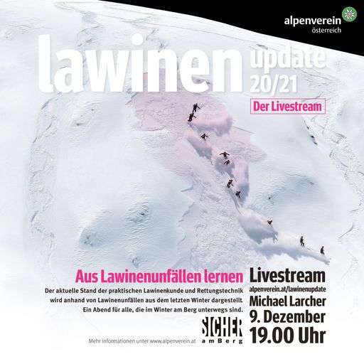 Vorschau Bild von Das Poster zum "Lawinen Update" 2020/21