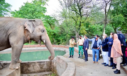 Vorschau Bild von Der pakistanische Präsident und VIER PFOTEN
Tierarzt Dr. Amir Khalil beim Besuch von Kaavan