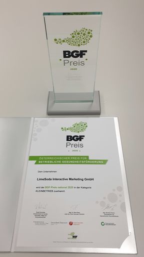 Vorschau Bild von Nationaler BGF-Preis 2020 - Urkunde und Award