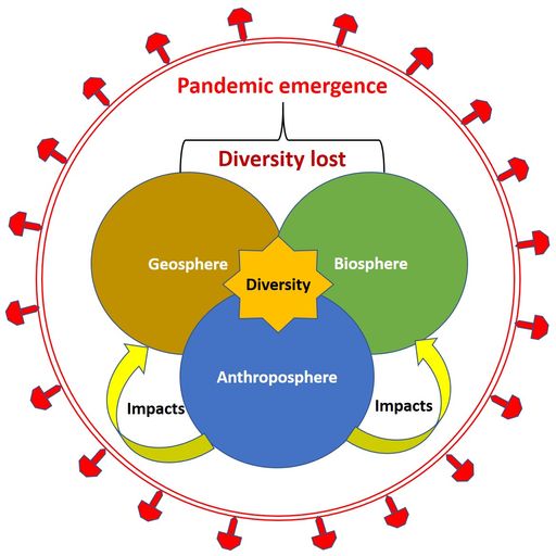  Entstehung von Pandemien durch globalen
Diversitätsverlust im biologischen, anthropologischen und
geologischen Bereich