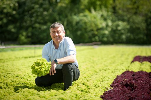  Ing. Josef Peck, MBA, Vorstand, LGV Sonnengemüse
eingetragene Genossenschaft