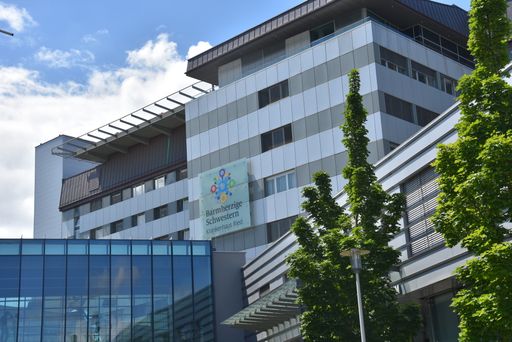 Vorschau Bild von Krankenhaus der Barmherzigen Schwestern Ried © BHS
Ried