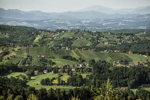  Steirische Riedenweine im Vergleich Weine aus der
höchsten Stufe der DAC-Pyramide als Festtagsweine.
Verkostungsergebnisse, Kostnotizen und online-Kaufmöglichkeiten
direkt bei den Winzern auf www.steiermark.wine