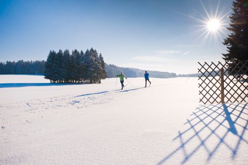 Vorschau Bild von Langlaufen in der sanften Winterhügelwelt
Mühlviertel.
