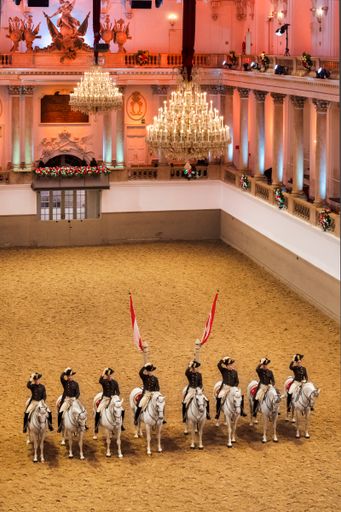Vorschau Bild von Das Finale der Schulquadrille mit acht Lipizzaner
und den Bereiter in der prächtigen, geschmückten Reithalle der
Spanischen Hofreitschule