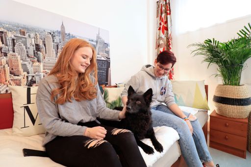 Vorschau Bild von Im STUWO Studentenheim Dückegasse auch Haustiere willkommen!