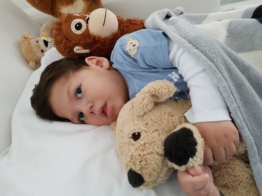 Vorschau Bild von Von daheim mitgebrachte Lieblingsstofftiere
erzeugen noch zusätzlich ein Gefühl der Geborgenheit.