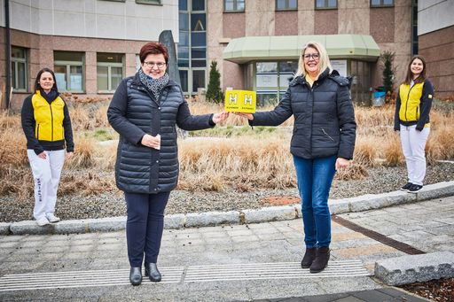 v.l.n.r : Eva Maria Krückl, stellvertretende
Pflegemanagerin Hilfe und Pflege daheim Land um Laa, LAbg. Michaela
Hinterholzer, Präsidentin des Hilfswerk Niederösterreich, Gabriela
Goll, Pflegedirektorin des Hilfswerk Niederösterreich und Isabella
Treitner, stellvertretende Pflegemanagerin Hilfe und Pflege daheim
Wr. Neustadt