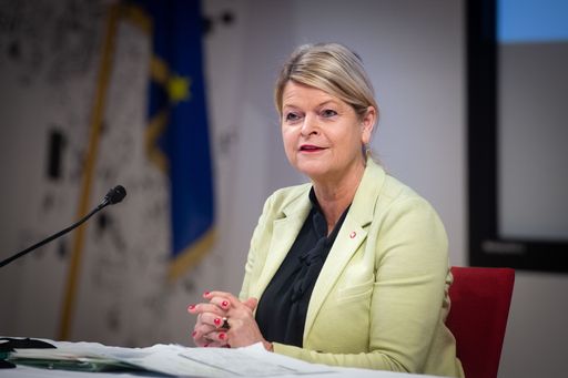 Vorschau Bild von FBM Tanner PK Beschaffungen am 12 02 2021 im BMLV