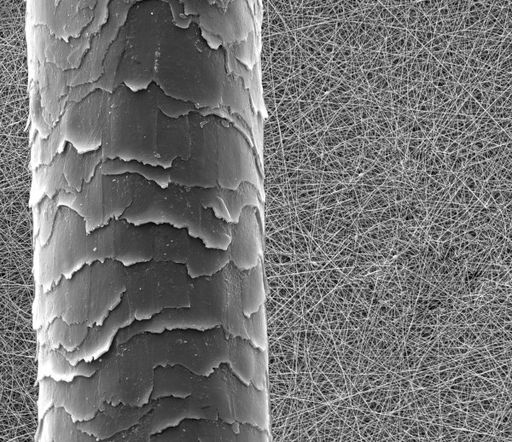 Vorschau Bild von Nanofasern sind etwa 1.000-mal feiner als ein
menschliches Haar. Viren und Bakterien werden durch Nanofaser-Filter
mit einer Effektivität von 99,9% abgefangen.