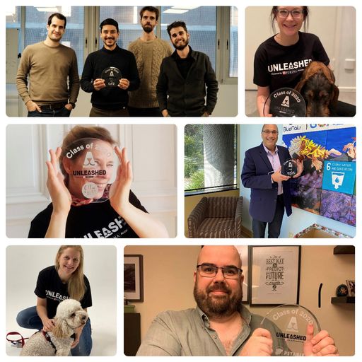  PURINA Accelerator UNLEASHED sucht innovative
Start-ups mit spannenden Geschäftsideen rund um Hund und Katze