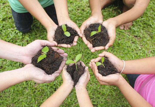 Aufforstung - 30 Jahre Roots & Shoots 700.000
Kinder & Jugendliche machen ihre Umwelt lebenswerter