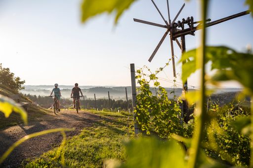 Vorschau Bild von Radfahren in der Velontour-Region Schilcherland