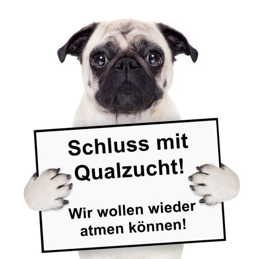 Schluss mit Qualzucht
