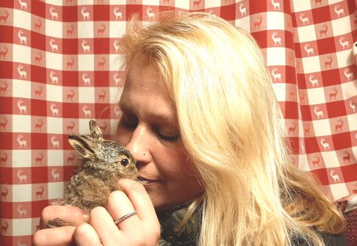 Gerade noch gerettet: Hasenbabys haben jetzt
Ersatzmama