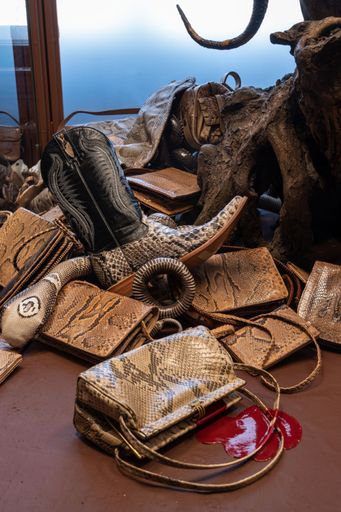 Artenschutzvitrine mit Dunklem Tigerpython im NHM
Wien