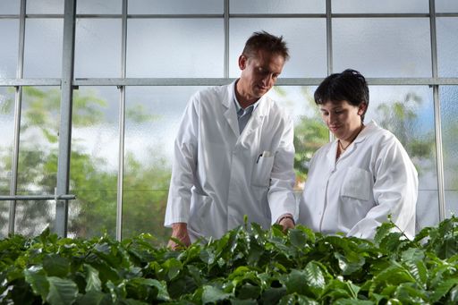 L'Oréal schlägt ein neues Kapitel in Forschung und Entwicklung
auf und setzt verstärkt auf natürliche Inhaltsstoffe / R&I at
L'Oréal / Weiterer Text über ots und www.presseportal.de/nr/24390 /
Die Verwendung dieses Bildes ist für redaktionelle Zwecke unter
Beachtung ggf. genannter Nutzungsbedingungen honorarfrei.
Veröffentlichung bitte mit Bildrechte-Hinweis.