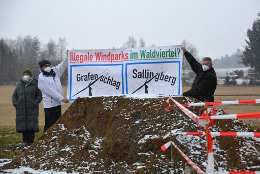 Vorschau Bild von Naturschützer stoppen Windparkprojekt in
Grafenschlag/Waldviertel