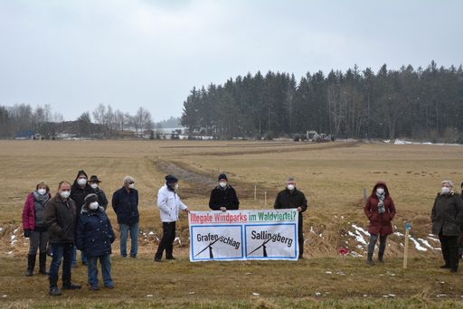 Vorschau Bild von Naturschützer stoppen Windparkprojekt in
Grafenschlag/Waldviertel