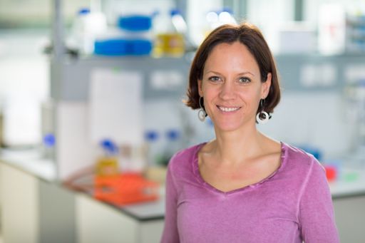 FH-Prof.in Dipl.-Ing.in Dr.in Silvia Apprich ist
neue Studiengangsleiterin vom Bachelorstudiengang Nachhaltiges
Ressourcenmanagement