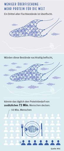 Weniger Überfischung - mehr zu essen. Mehr Fisch bis 2050? /
Aktuelle Analyse zeigt: Überfischung der Meere kostet uns jährlich
wertvolles Protein für 72 Mio. Menschen / Weiterer Text über ots und
www.presseportal.de/nr/102624 / Die Verwendung dieses Bildes ist für
redaktionelle Zwecke unter Beachtung ggf. genannter
Nutzungsbedingungen honorarfrei. Veröffentlichung bitte mit
Bildrechte-Hinweis.