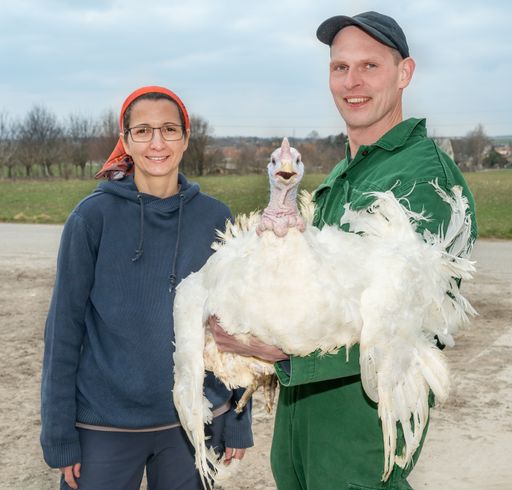 Vorschau Bild von österreichische Putenbauern mit Pute