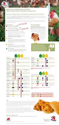 Vorschau Bild von Die Ergebnisse des Marktchecks von VIER PFOTEN und Konsumentenschutz der AK Oberösterreich im Detail
