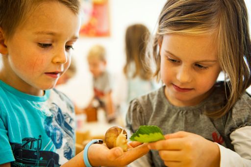 Lebens-, Entwicklungs- und Bildungs-RAUM: Der Kindergarten