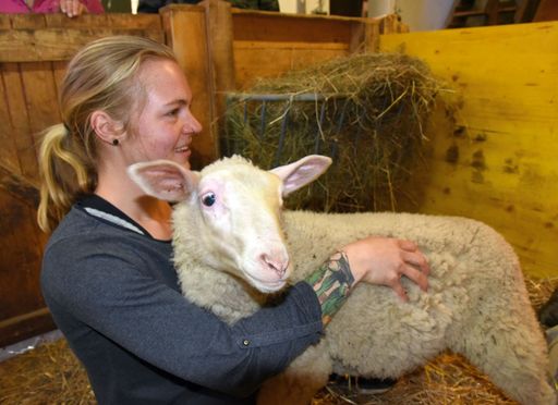 Blindes Lamm "Sigi" vom ANIMAL SPIRIT-Gnadenhof
Hendlberg gerettet