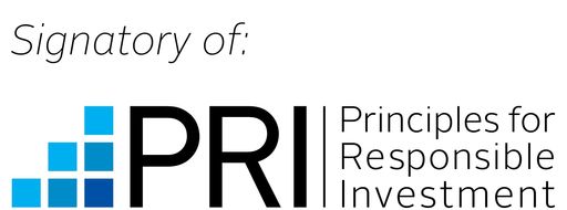 UN PRI Corporate Logo