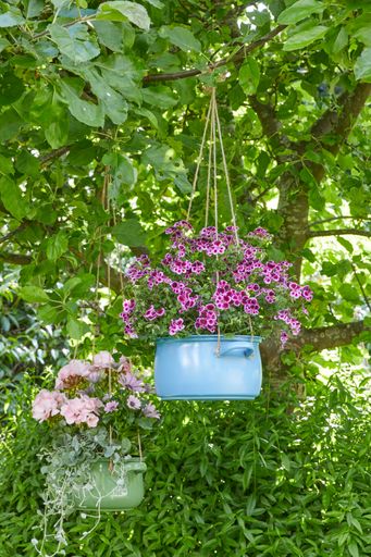 Basteltipp: alte Kochtöpfe bunt anmalen und als
Blumenampel aufhängen