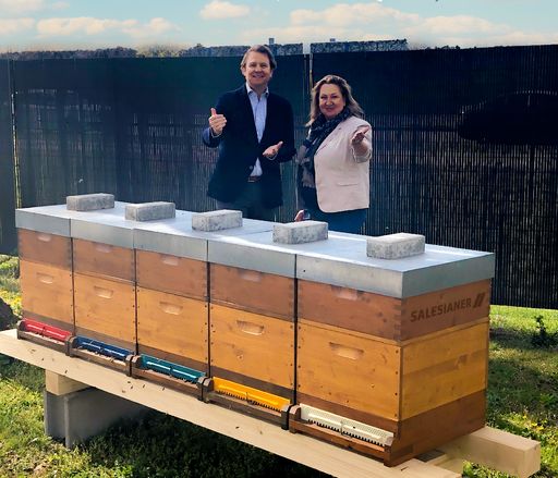 Eine Heimat für Bienen bei SALESIANER