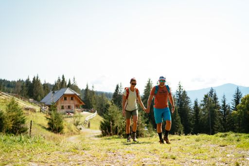 Vorschau Bild von Radfahren auf der Alm und Landschaft genießen