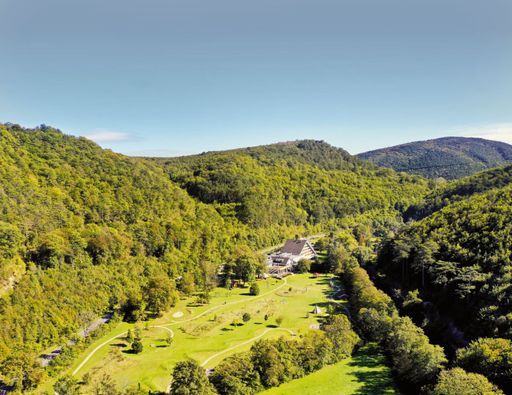 Vorschau Bild von Wald, Wald, Wald - und die Krainerhütte im
Helenental. Neuer WALDNESS.Partner in Niederösterreich