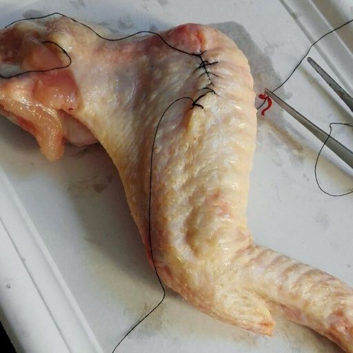 Vorschau Bild von ©SciencePool_SummerScience_KinderUni_WorkshopMedUni