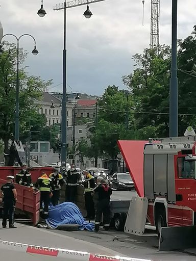 Vorschau Bild von totes Pferd am Ring, Feuerwehreinsatz