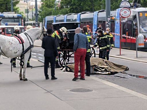 Vorschau Bild von totes Pferd am Ring, Feuerwehreinsatz