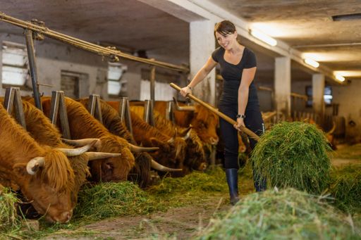 Vorschau Bild von Freiwillig am Bauernhof vermittelt interessierte
Personen auf Bauernhöfe in der Steiermark, in Tirol und Vorarlberg.
Sie helfen Bauernfamilien in Zeiten von Arbeitsspitzen und erhalten
einen Einblick in den landwirtschaftlichen Alltag. -