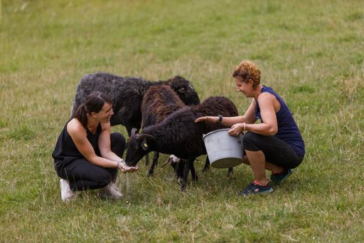 Jeder zwischen 18 und 75, der motiviert und fit ist
und die nötige Flexibilität mitbringt, um auf einem Bauernhof
mithelfen zu können, kann sich beim Verein Freiwillig am Bauernhof
melden. Er vermittelt auf einen passenden Hof.