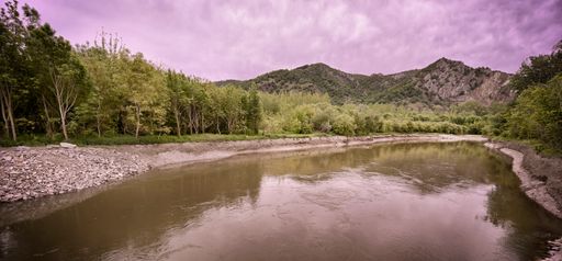 Vorschau Bild von Abschluss des Prjekts 'LIFE+ Auenwildnis Wachau' in
Rührsdorf