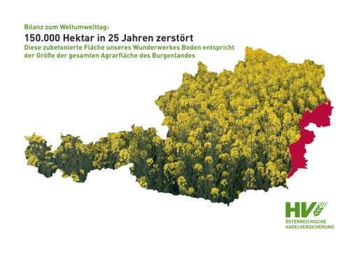 Vorschau Bild von Chart - Bilanz zum Weltumwelttag