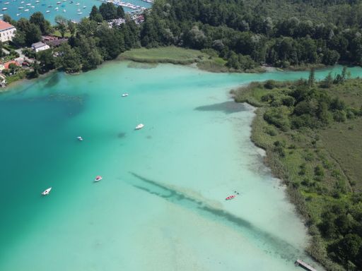 Vorschau Bild von Das Projektgebiet, ein Natura 2000-Gebiet: Die
Wörthersee-Ostbucht im Gebiet des Lendspitz-Maiernigg